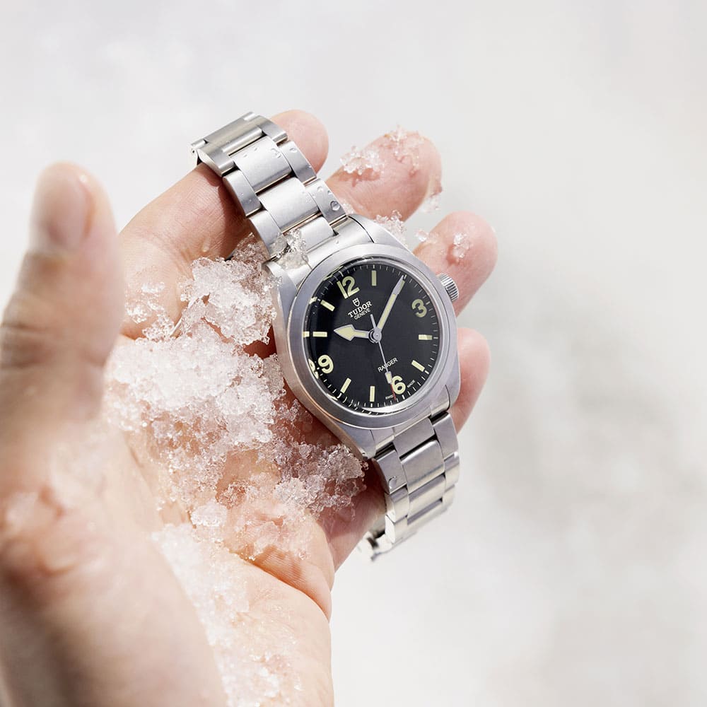 Tudor_M799500001_3 Tudor_M799500001_3
