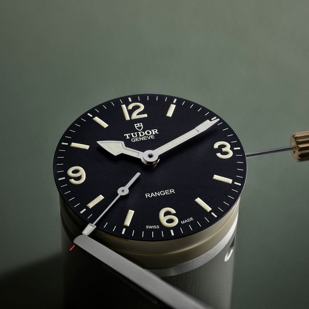 Tudor_M799500001_8 Tudor_M799500001_8