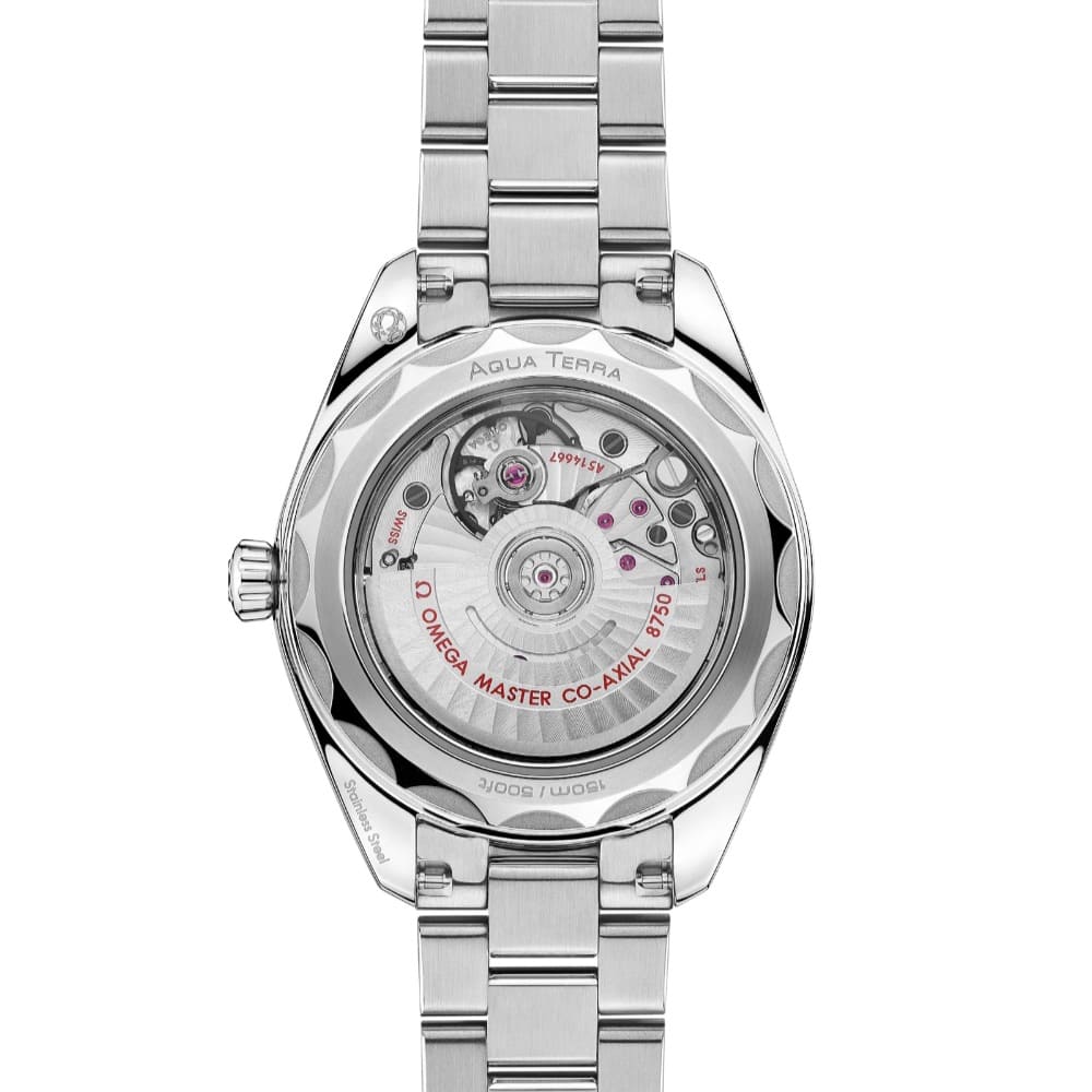 Mundwiler_7_Omega_Seamaster_Aqua_Terra_1000x1000_7
